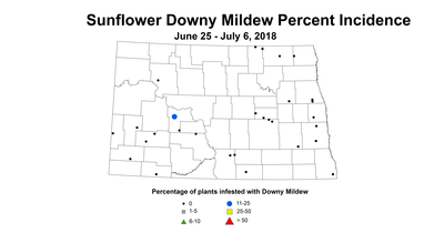 mildew