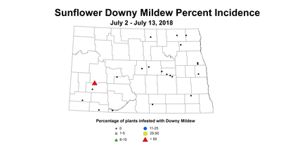 mildew