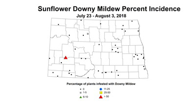 mildew