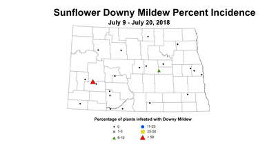 mildew