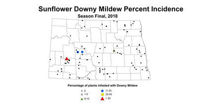 mildew