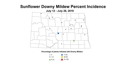 mildew