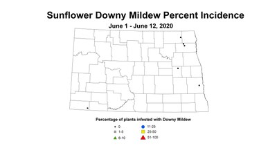 mildew