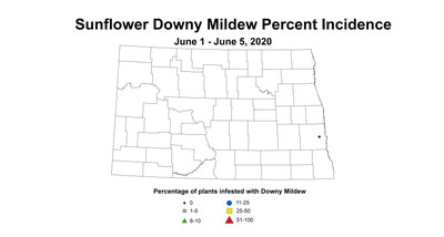 mildew
