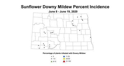 mildew