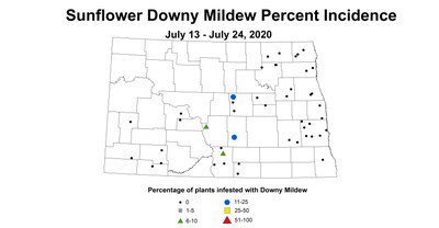 mildew