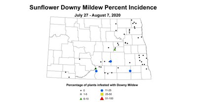 mildew