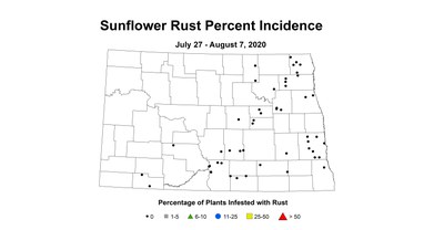 rustIncidence