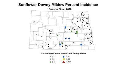 mildew