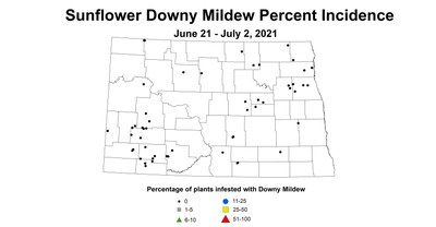 mildew