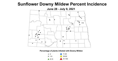 mildew