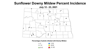 mildew