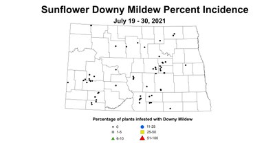 mildew