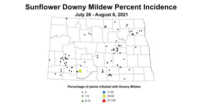 mildew
