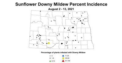mildew