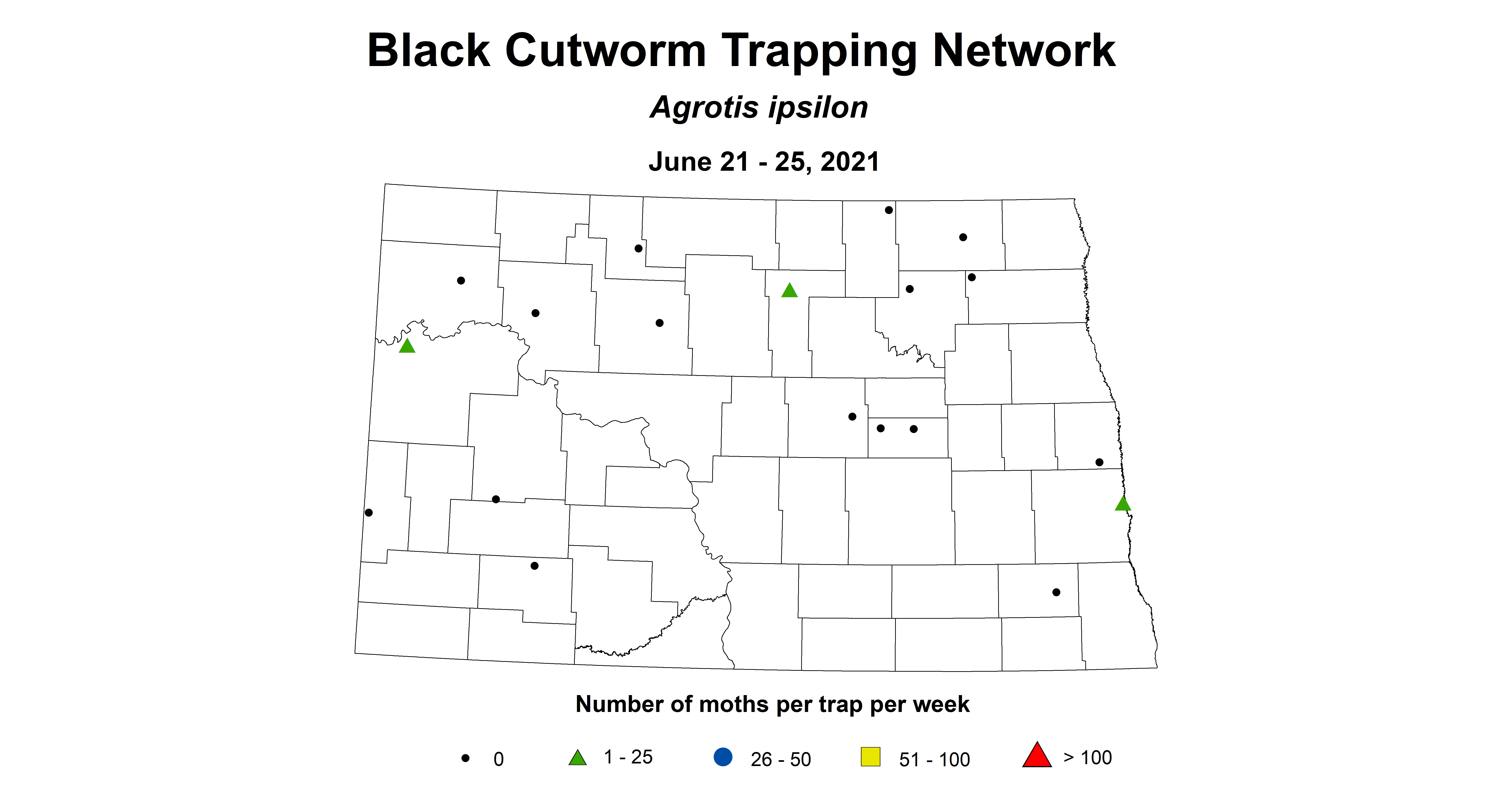 blackCutworm 6.21 6.25
