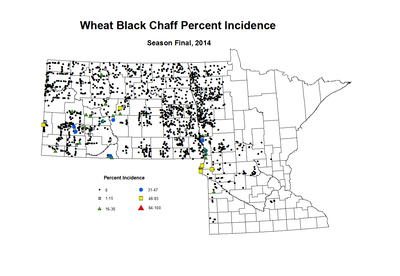 2014 Season Final Wheat BCP Inc