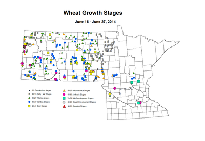 6 16 6 27 Wheat GrowthStages ZGS