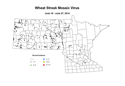 6 16 6 27 Wheat WSMV Inc