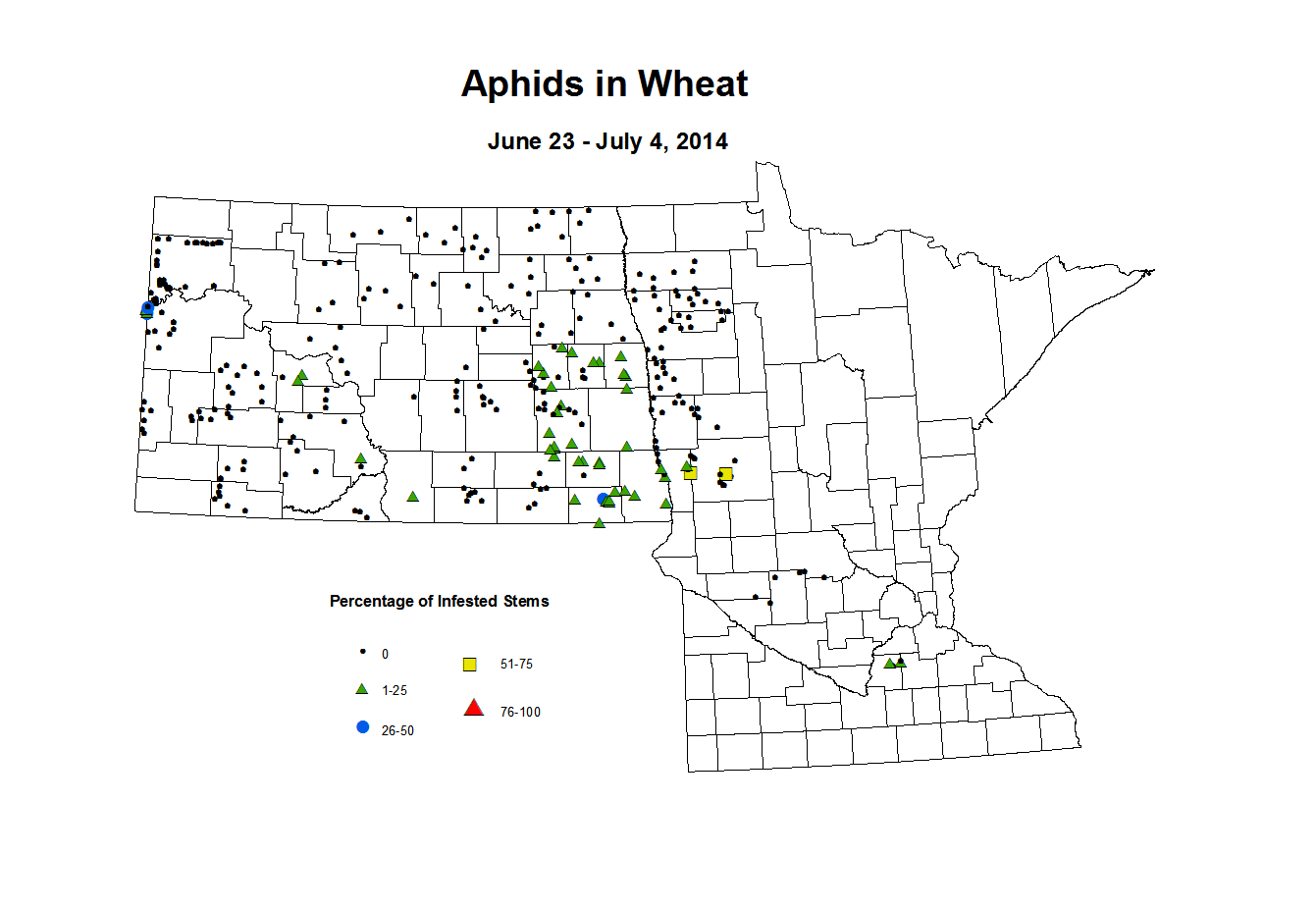6 23 7 4 Wheat Aphid Tillers