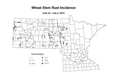 6 23 7 4 Wheat SR Inc