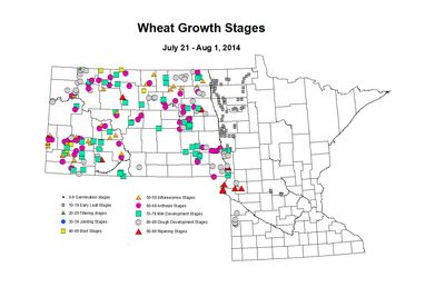 7 21 8 1 Wheat GrowthStages ZGS