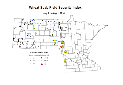 7 21 8 1 Wheat Scab Index