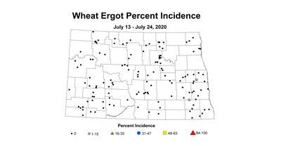 ergot