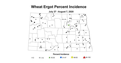 ergot