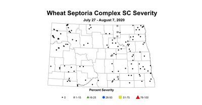 sc severity