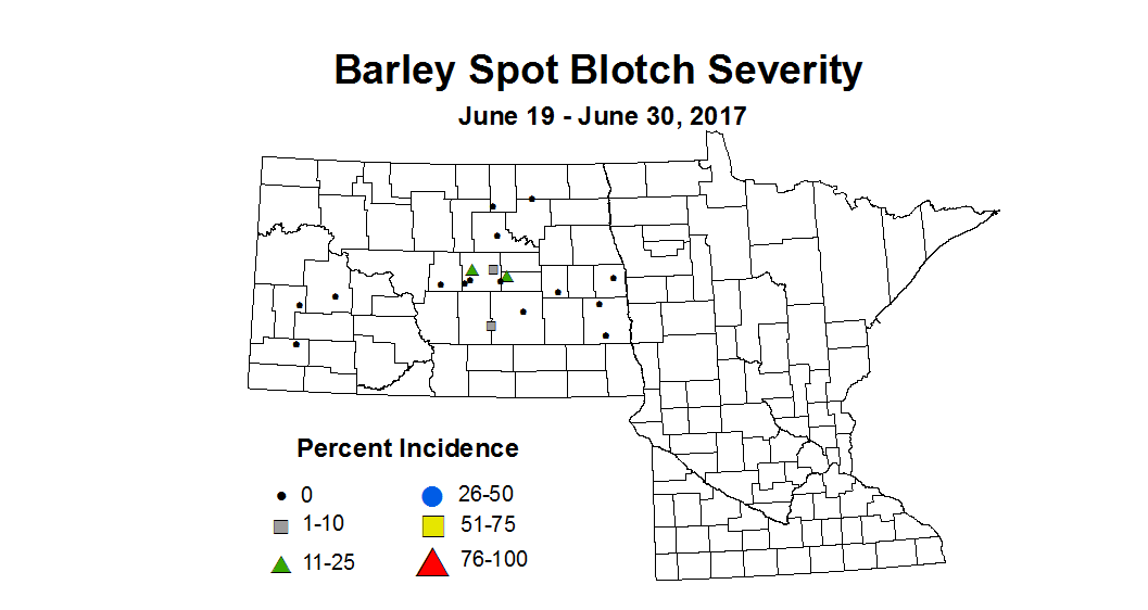 barley SBSV  6 19 6 30