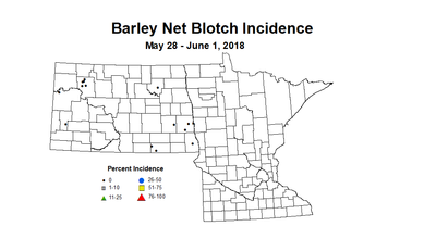 barley2018 nbi 5.28 6.1
