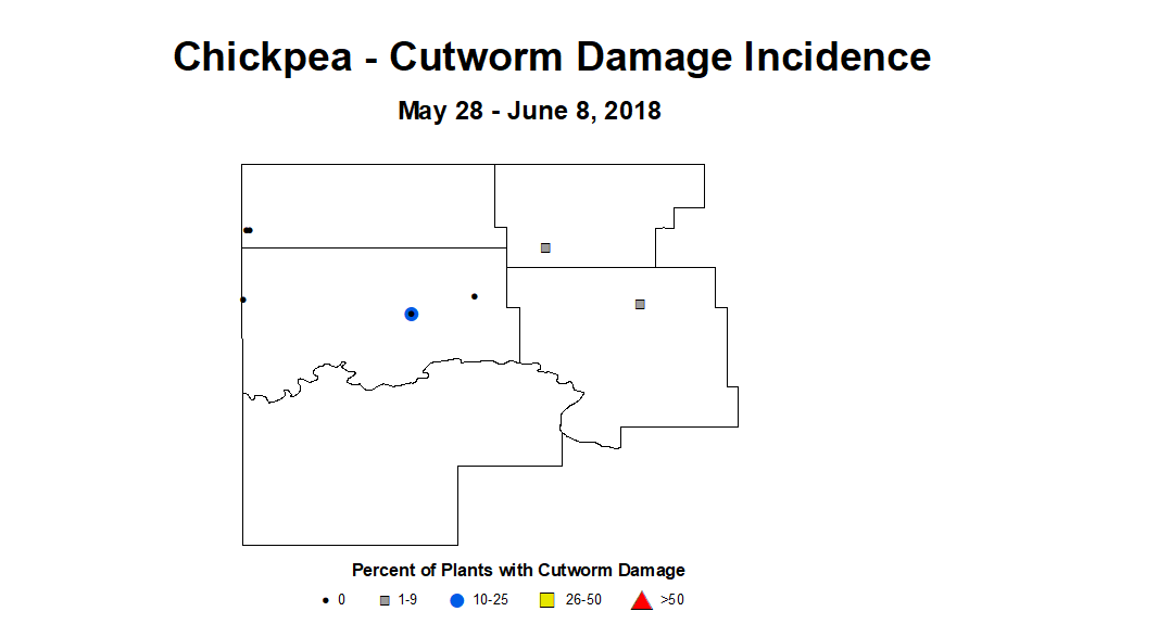 chickpea cwdmginc 5.28 6.8