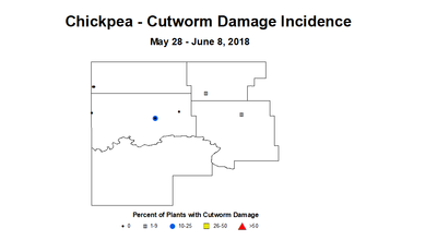 chickpea cwdmginc 5.28 6.8