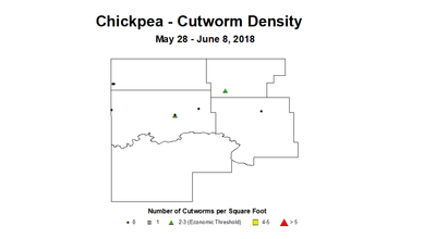 chickpea cwyd2 5.28 6.8