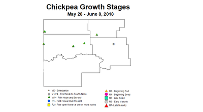 chickpea zgs 5.28 6.8