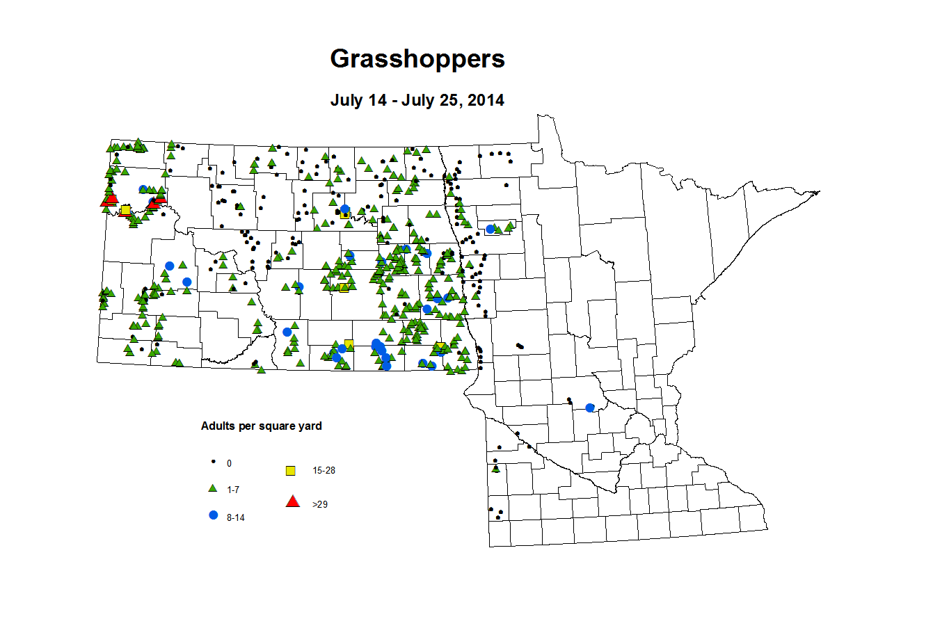 7 14 7 25 Grasshopper Adults