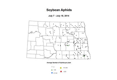 7 7 7 18 Soybean Aphids Average Per Plant