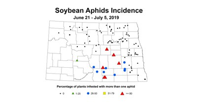 soybean aphid incidence