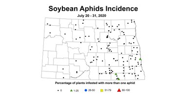 aphidIncidence