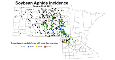 aphidIncidence