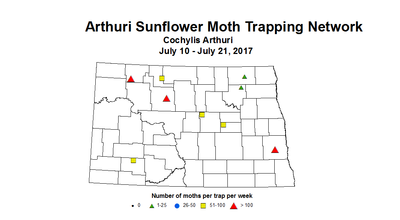 sfInsectTrap arthuri 7 10 7 21 2017