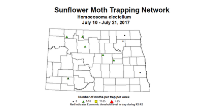 sfInsectTrap sfMoth 7 10 7 21 2017