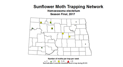 sunflowerInsectTrap sfMoth season 2017