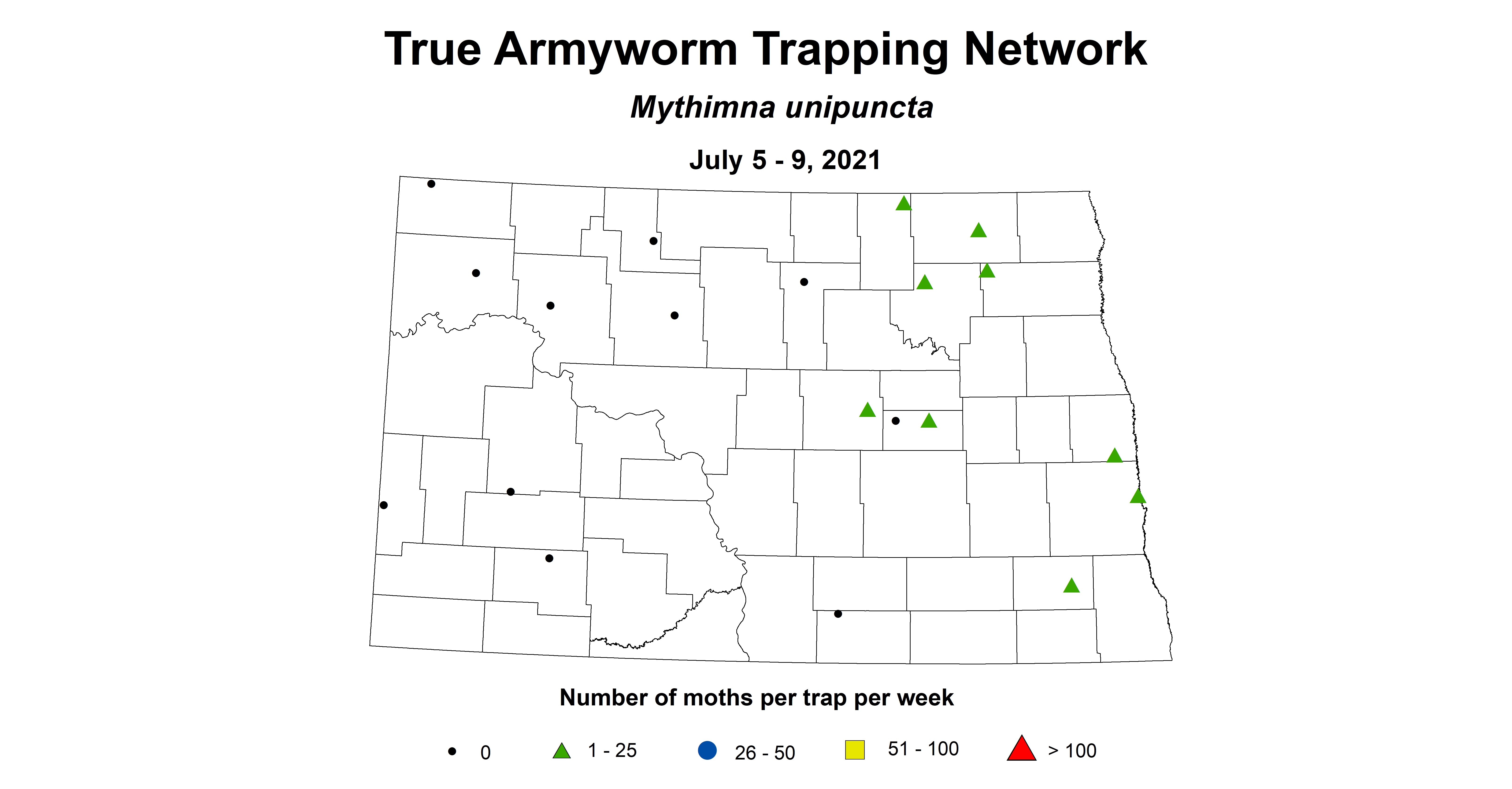armyworm