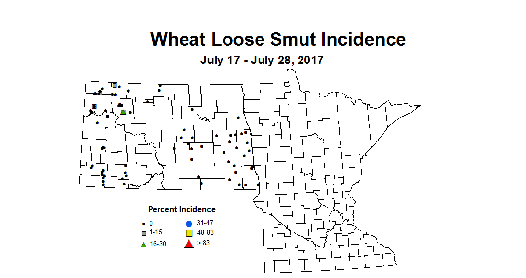 wheat LSI 7 17 7 28 2017