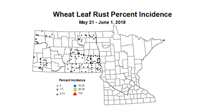 wheat LRI 5.21 6.1 2018