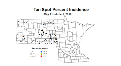 wheat TSI 5.21 6.1 2018
