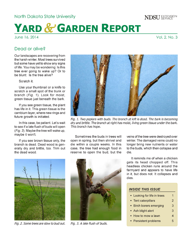 NDSU Yard & Garden Report for June 16, 2014