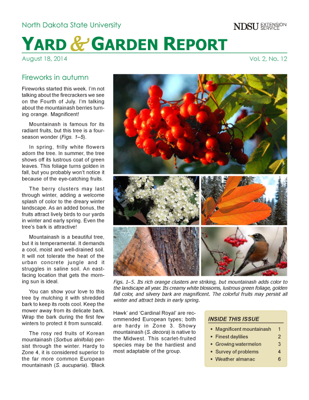 NDSU Yard & Garden Report for August 18, 2014